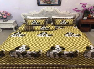 set-chan-ga-he-5-mon--cho-vang