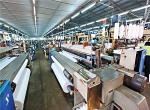 may-moc-det-may-nhap-khau