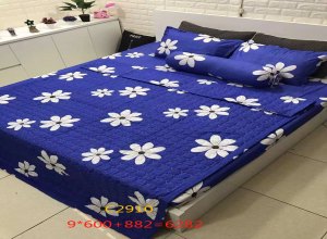 set-chan-ga-he-5-mon--06