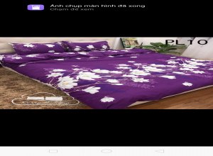 poly-hoa-26-hoa-lan-tim