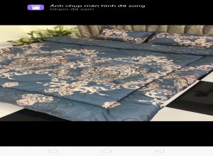 poly-hoa-29-hoang-gia-ghi